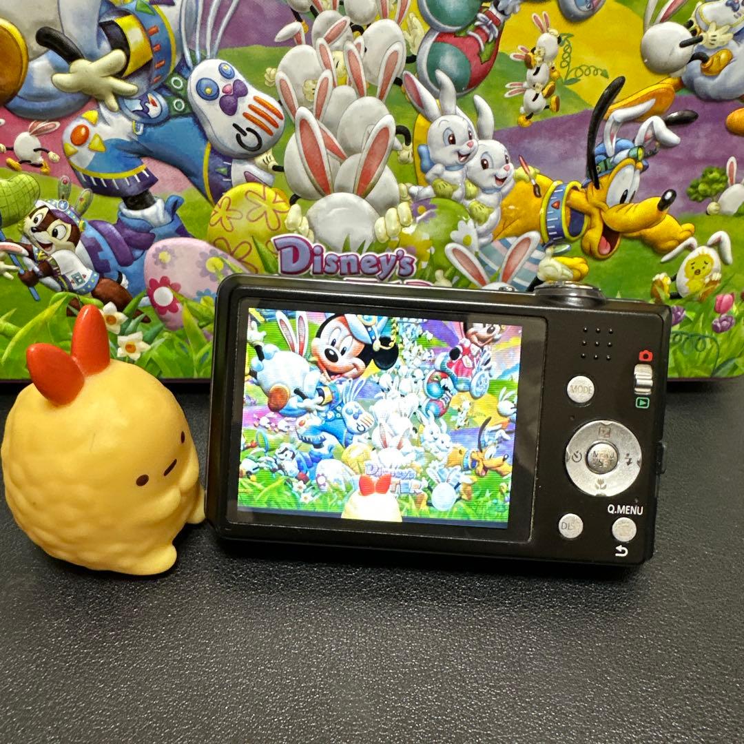 Panasonic LUMIX DMC-FH5 動作確認済　中古良品