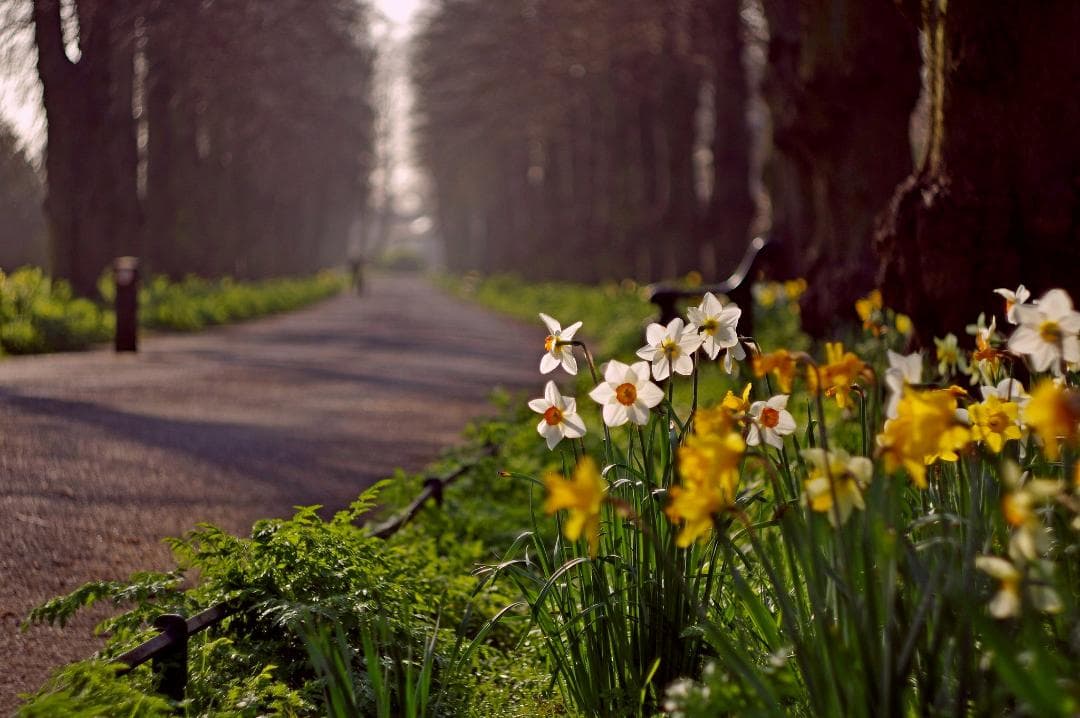 4【希少】Helios44 　美品　初期型ゼブラ　ヘリオス44　ぐるぐるボケ