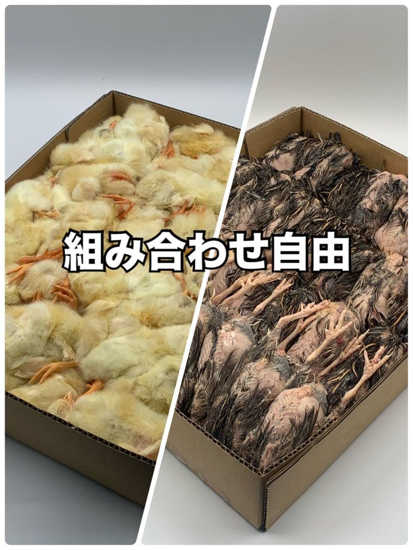 冷凍ウズラ5kg×3段【送料込】