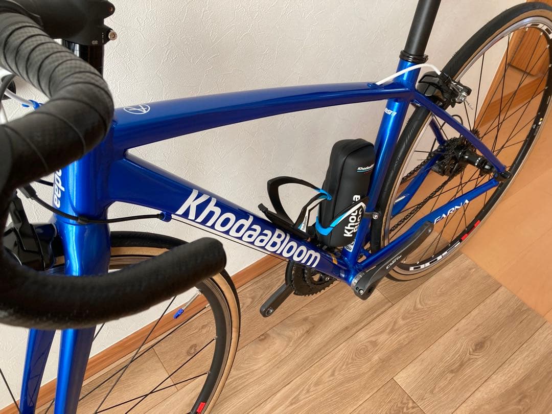 【ちぇり】　Khodabloom ファーナ Claris 430