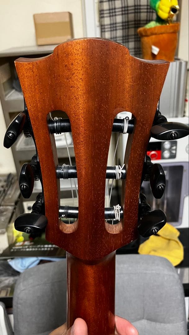 Lag Tramontane TN170ACE エレガットギター