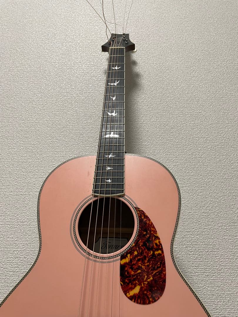 超美品！Paul Reed Smith SE Parlor Fishman
