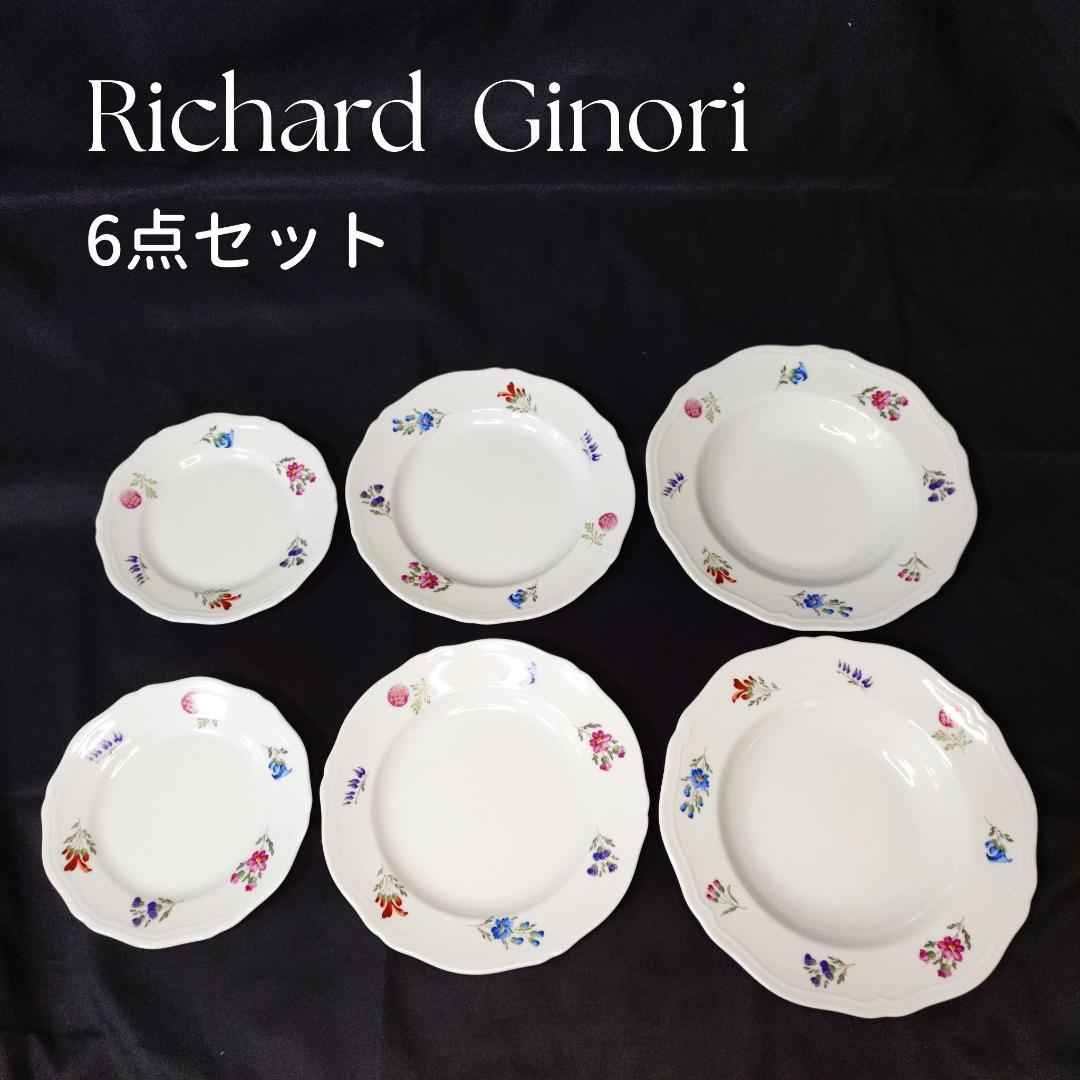良品 Richard Ginori リチャード ジノリ 洋食器 6点セット 花柄