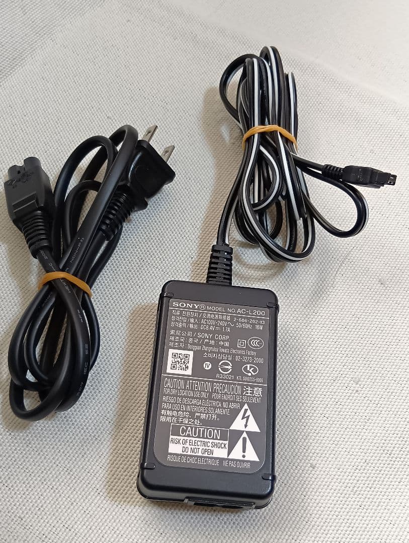 ソニー デジタルビデオカメラ SONY DCR-SR300