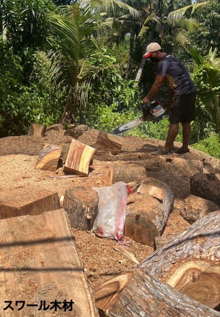 スワールウッド　天然無垢材　プードル　木彫り　手彫り　木製　犬の置物