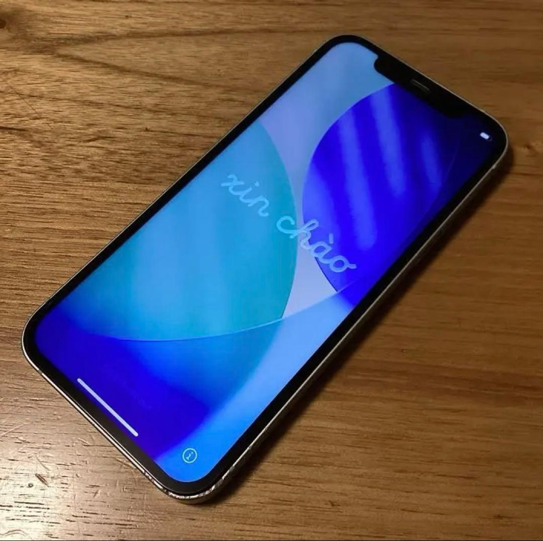 Apple iPhone 12(256GB)グリーン 充電ケーブル、箱、ピン付き