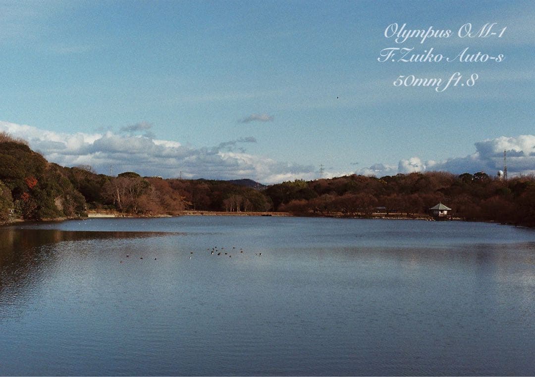 完動品＊美品＊初期保証★OLYMPUS OM-1 ブラック★レンズセット＊作例有