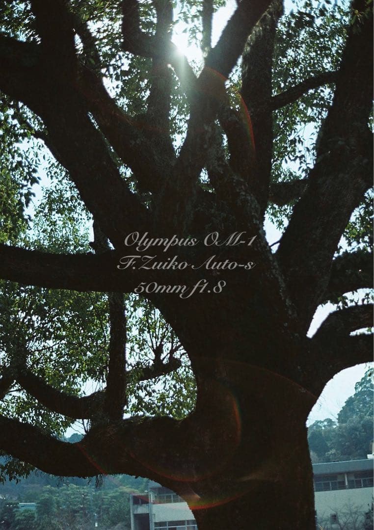 完動品＊美品＊初期保証★OLYMPUS OM-1 ブラック★レンズセット＊作例有