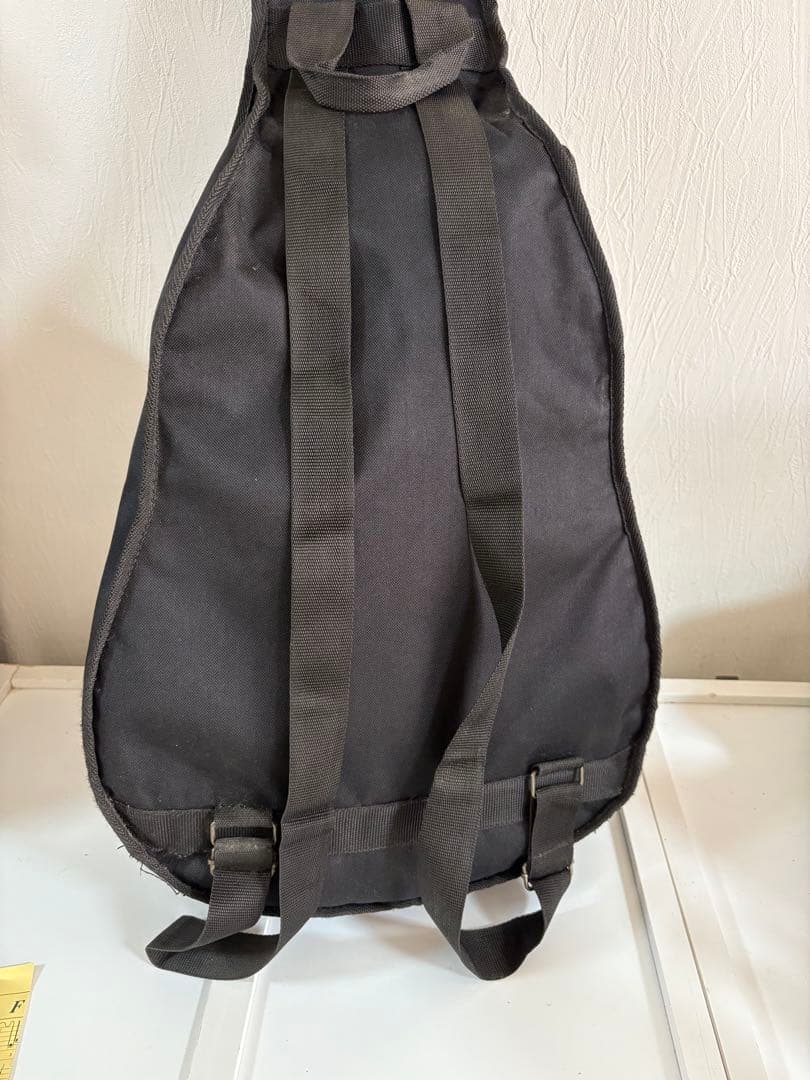 Cooler by Takamine アコースティックギター　TCP-480