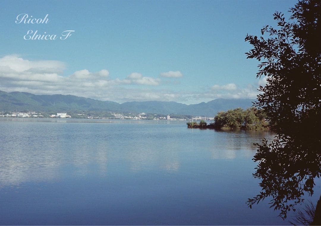 希少品！超美品！完動品★リコー elnica f★フィルム入門＊初期保証＊試写済