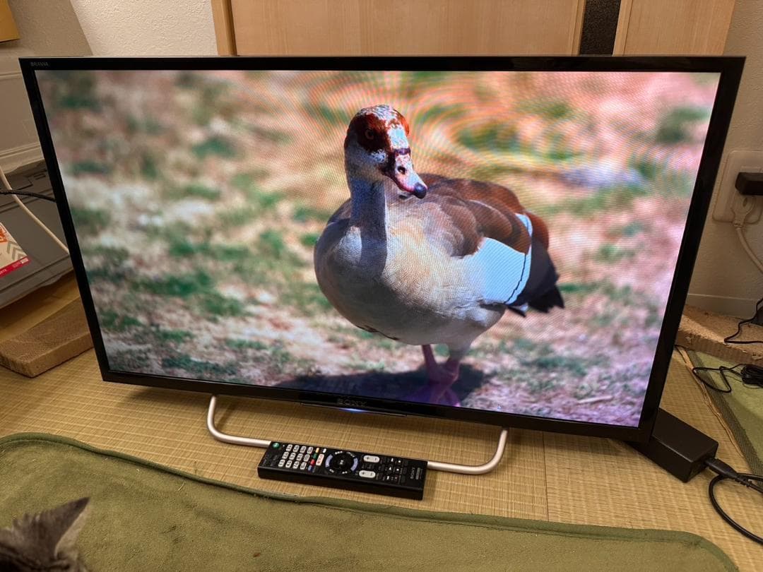 ソニー　SONY　KJ-32W700C　液晶テレビ　綺麗に映り　超美品！