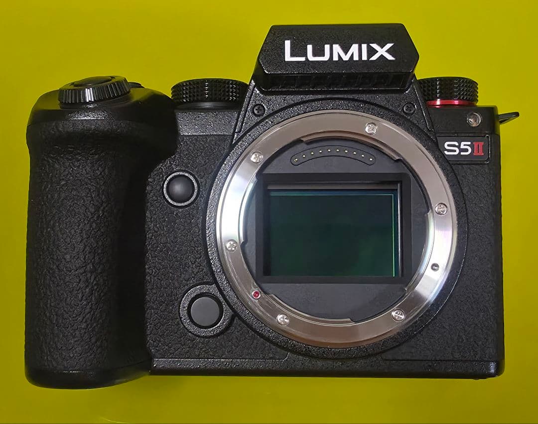 【使用少】 LUMIX S5II ダブルレンズキット 予備バッテリー付