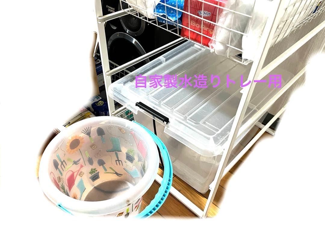 水槽 格安 ※引取限定※ 他掃除用具、濾過器写真同等一機