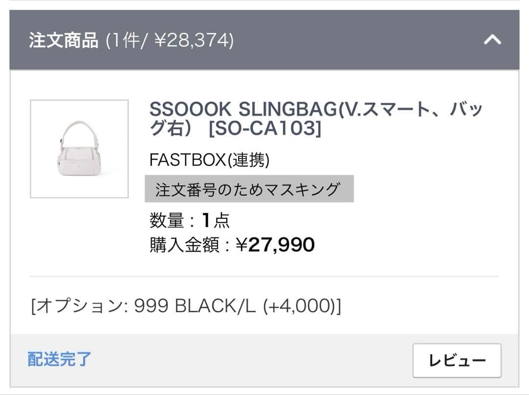 SSOOOK SLINGBAG（V.スマート、バッ 7) [SO-CA103]