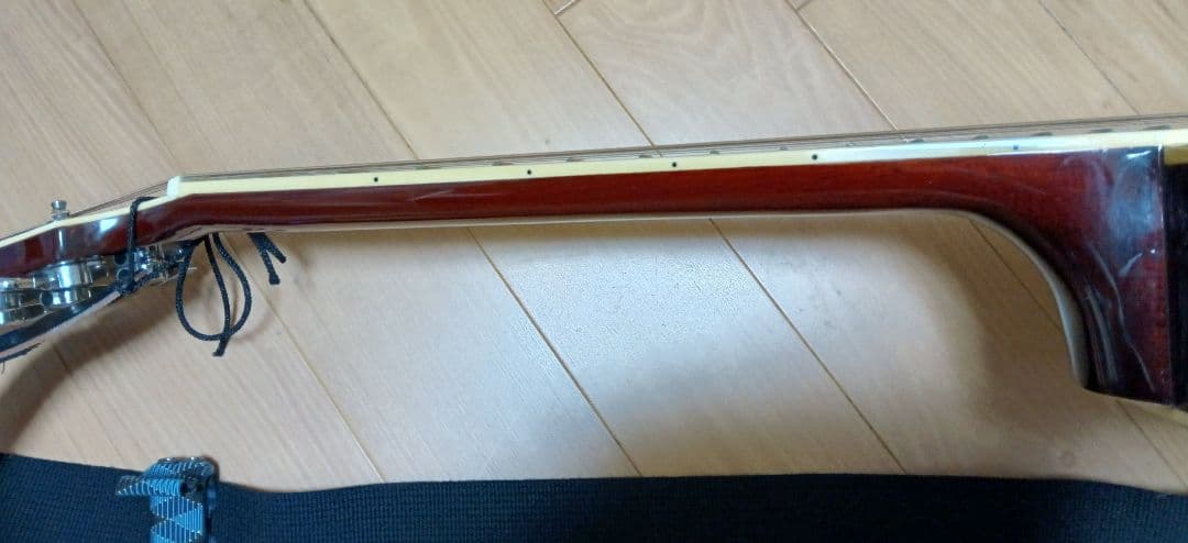 promartin ea500w vs エレアコ　ギター