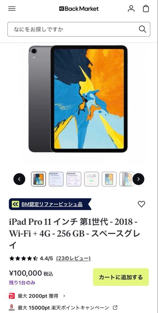 iPad Pro 11-inch (第1世代) 256GB Wi-Fi + 4G