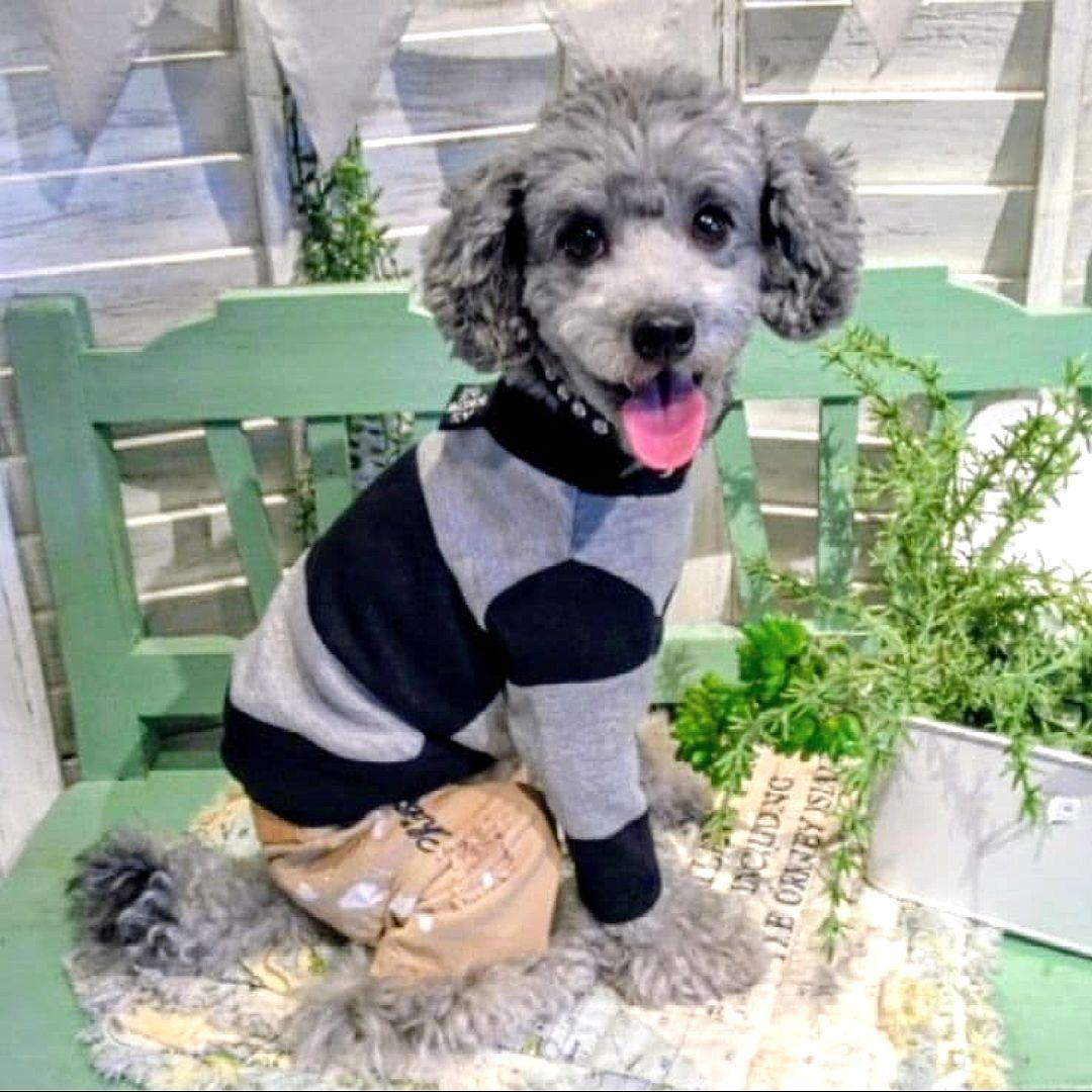 ビッグBDハイネック+パンツ　asknowasdewanアズノゥアズデワン