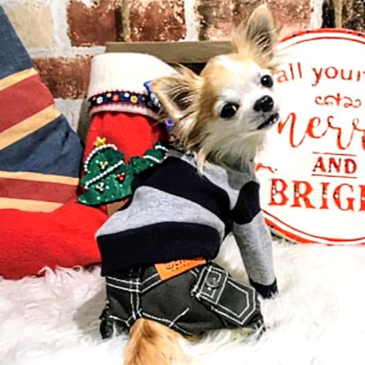 ビッグBDハイネック+パンツ　asknowasdewanアズノゥアズデワン