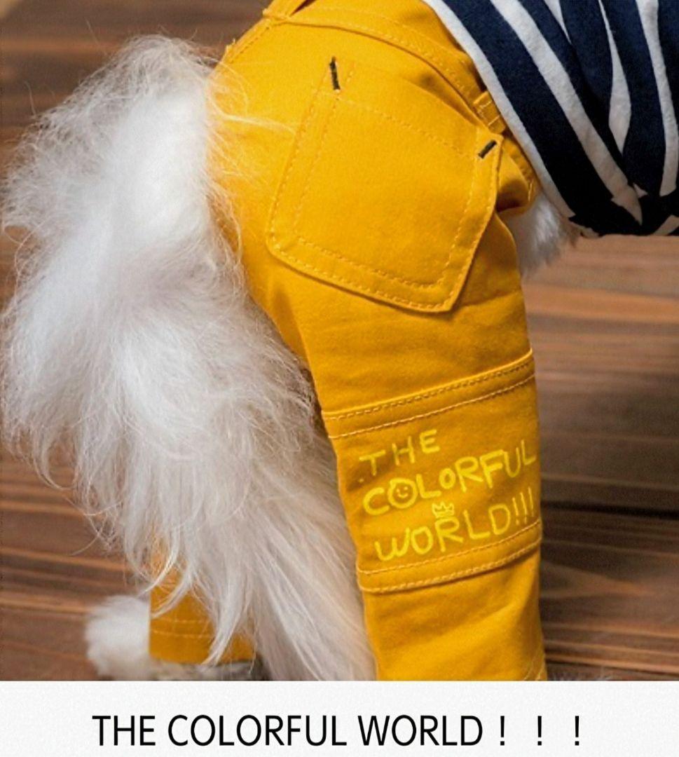 ビッグBDハイネック+パンツ　asknowasdewanアズノゥアズデワン