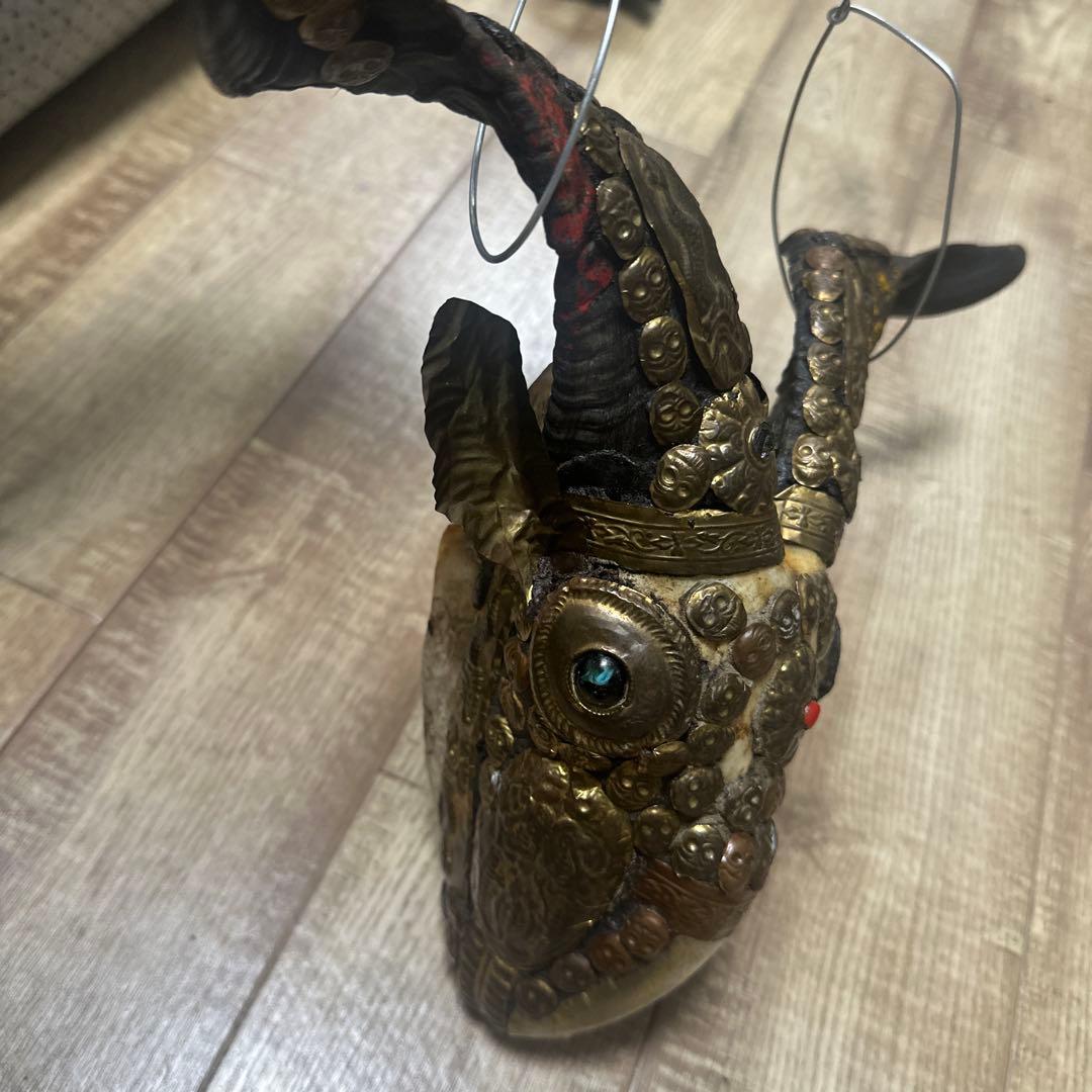 チベタンスカル　山羊　モンクスカル　チベット　法具　チベタンゴート　頭蓋骨