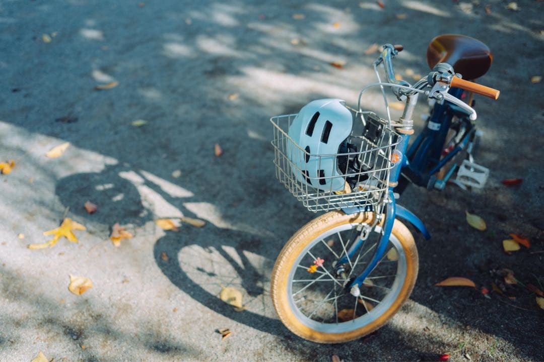 Nikon NIKKOR Z 40mm F2 作例あり