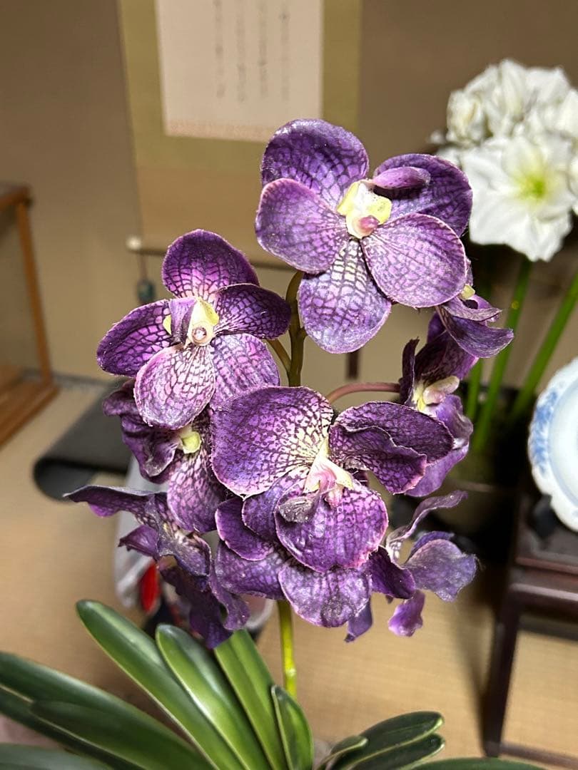 お値下げ　イタリア製　FUTURアートフラワー