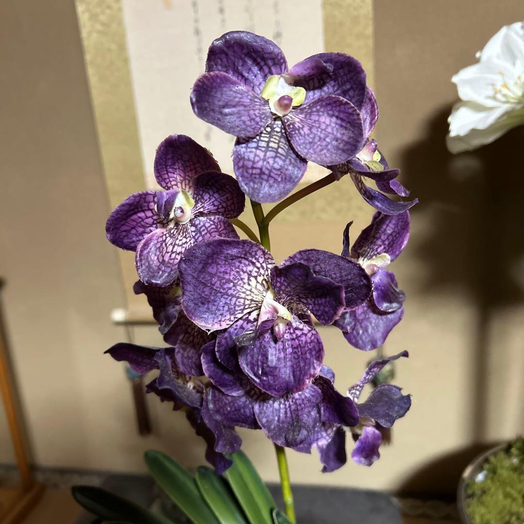 お値下げ　イタリア製　FUTURアートフラワー