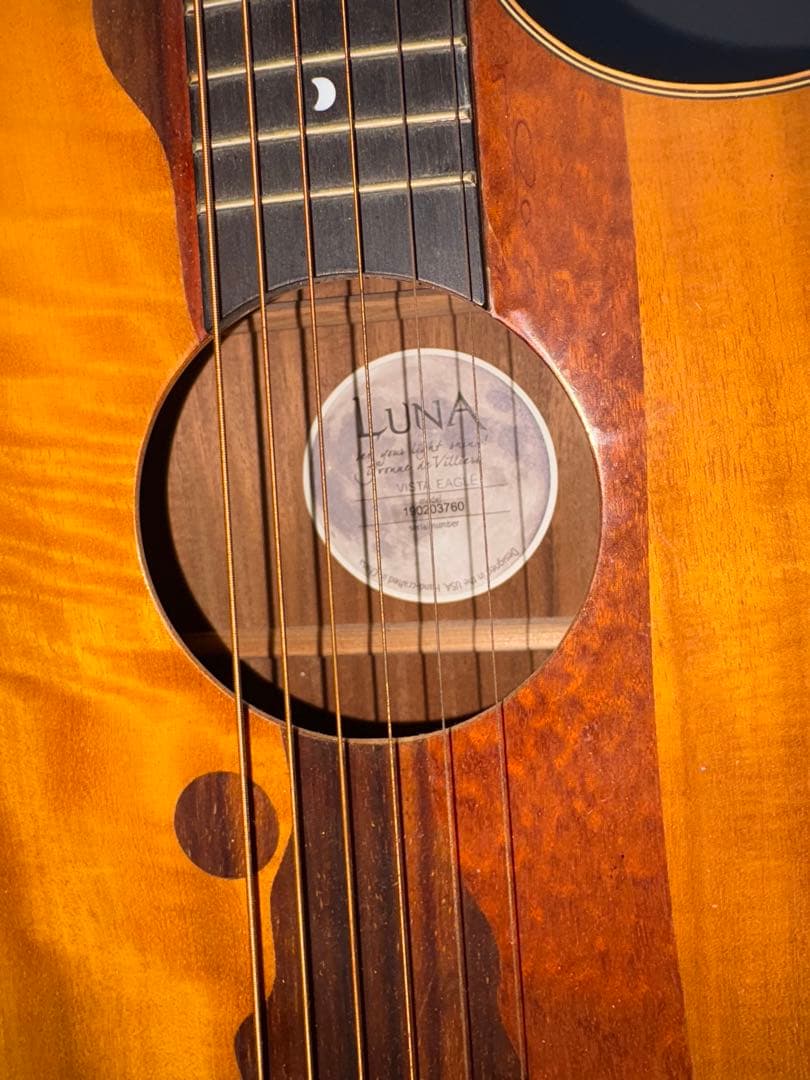 元新品8万円前後Luna Vista Eagle 6弦【ジャンク／修理ベース】