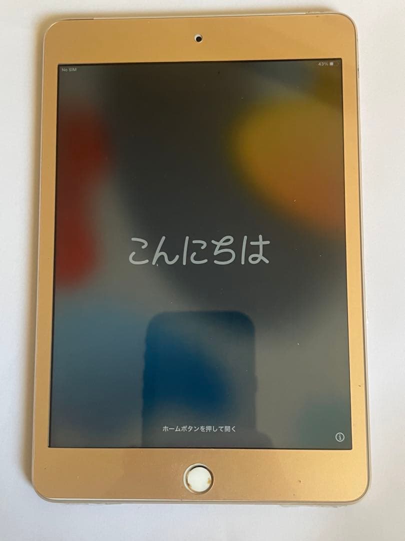 ☪*✩様 iPad mini4 Wi-Fi+Cellular 128GB