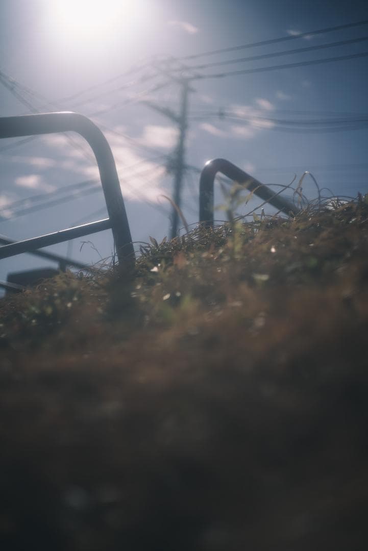 銘玉！Summicron 50mm F2 1st 前期 固定鏡胴 オールドレンズ