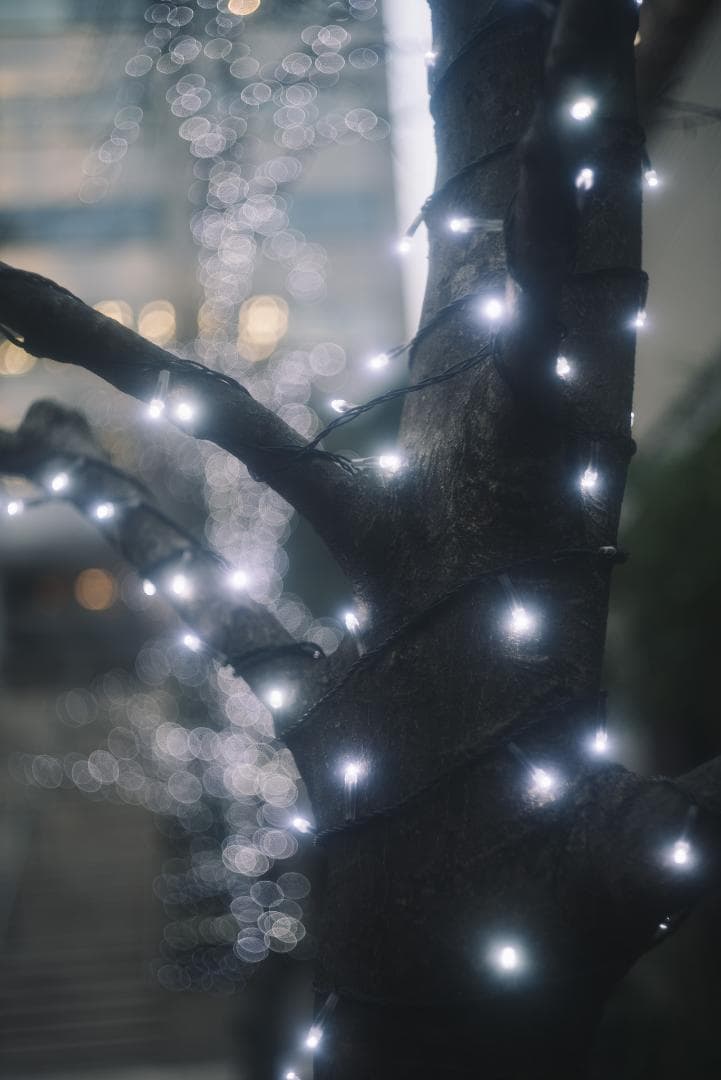 銘玉！Summicron 50mm F2 1st 前期 固定鏡胴 オールドレンズ