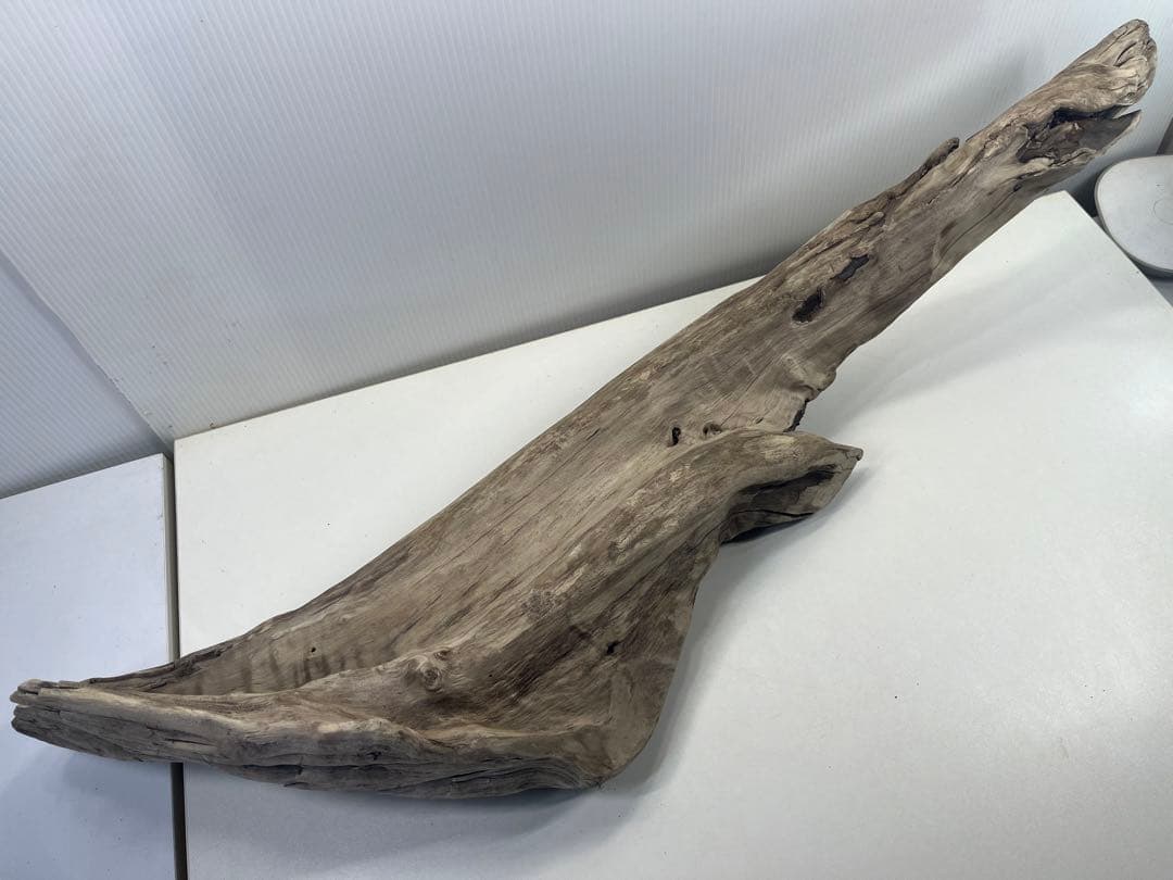 V84特大流木 アク抜き済み流木 爬虫類シェルター 登り木 インテリア 生け花