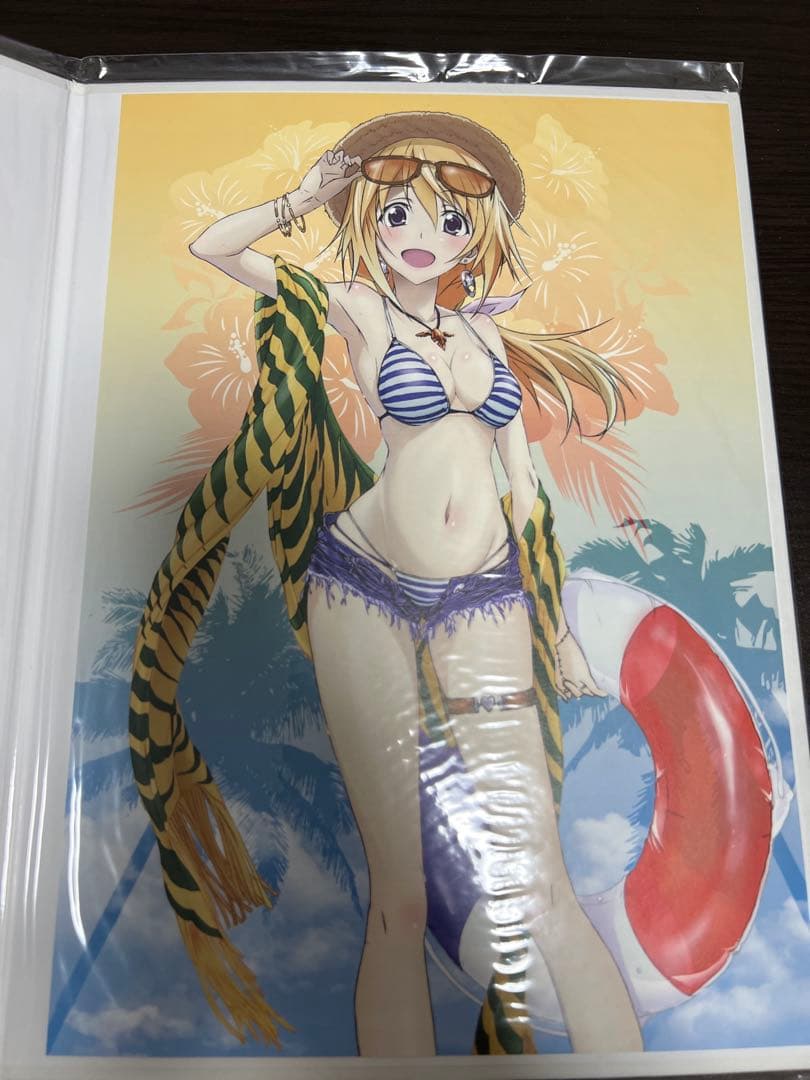 インフィニット・ストラトス　全巻購入特典　ポートレート