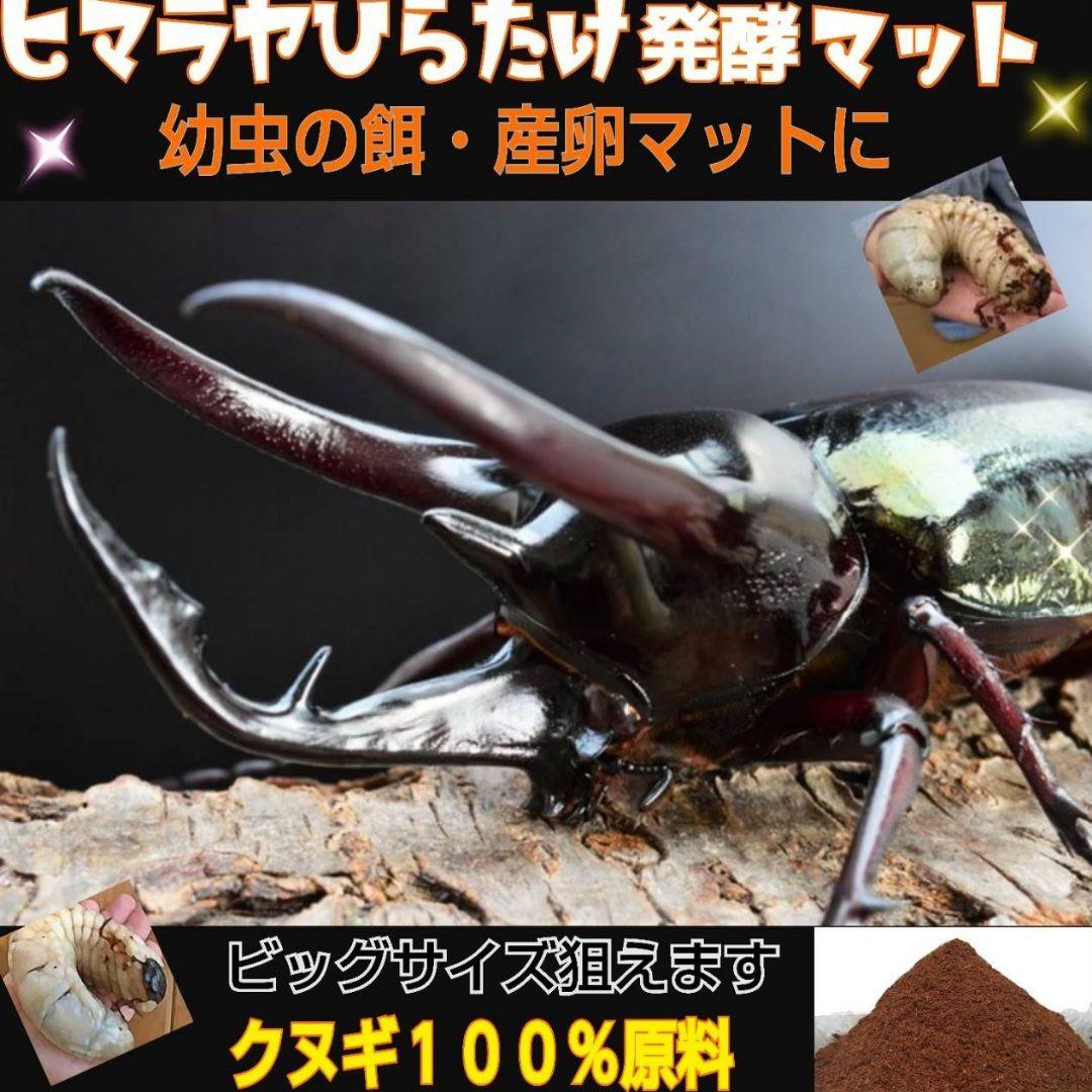 大量飼育に！良質　発酵カブトムシマット【500リットル】幼虫が丸々太る添加剤入り