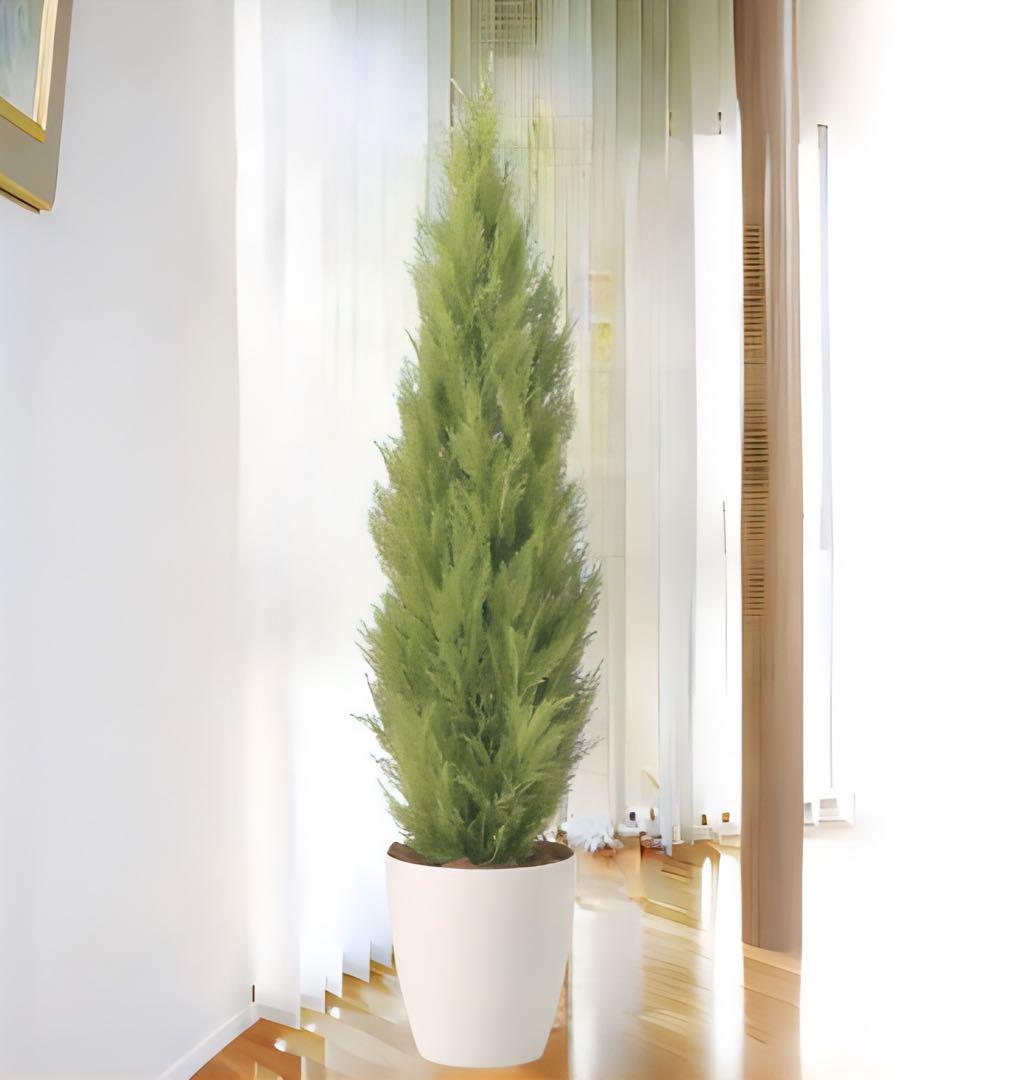 光触媒　人工観葉植物　フェイクグリーン　ゴールドクレスト1.35