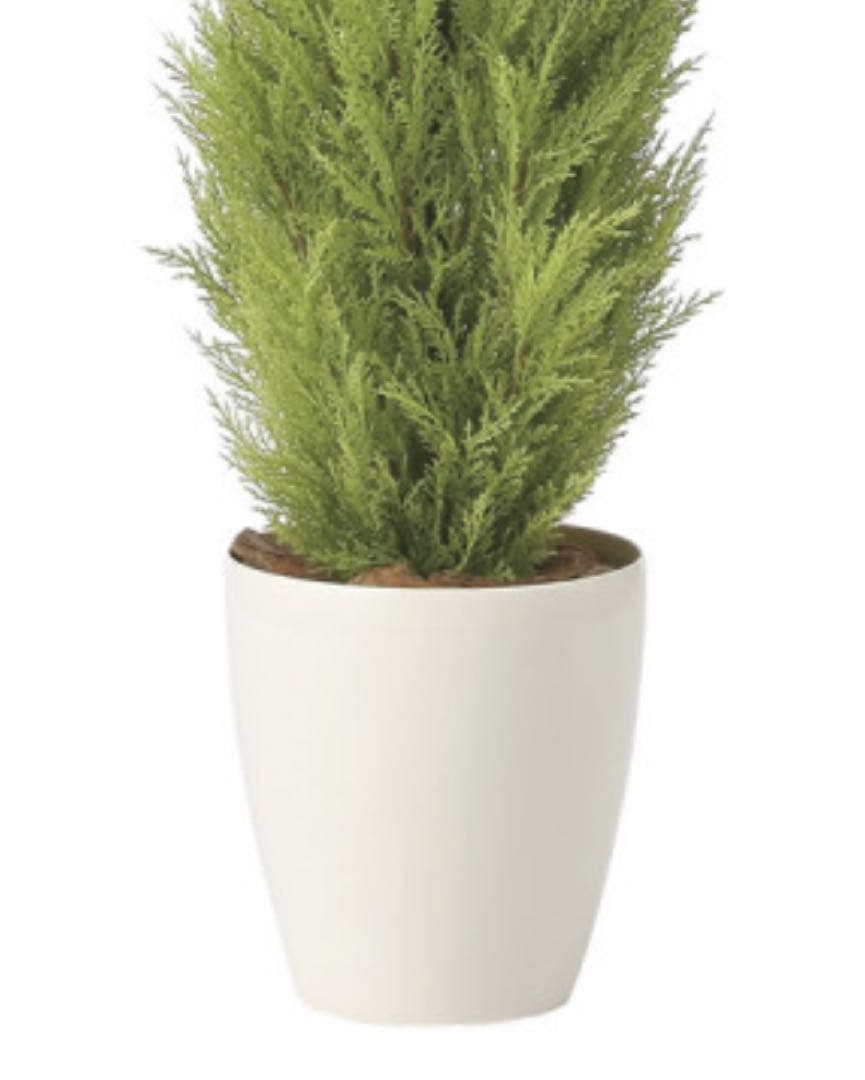 光触媒　人工観葉植物　フェイクグリーン　ゴールドクレスト1.35