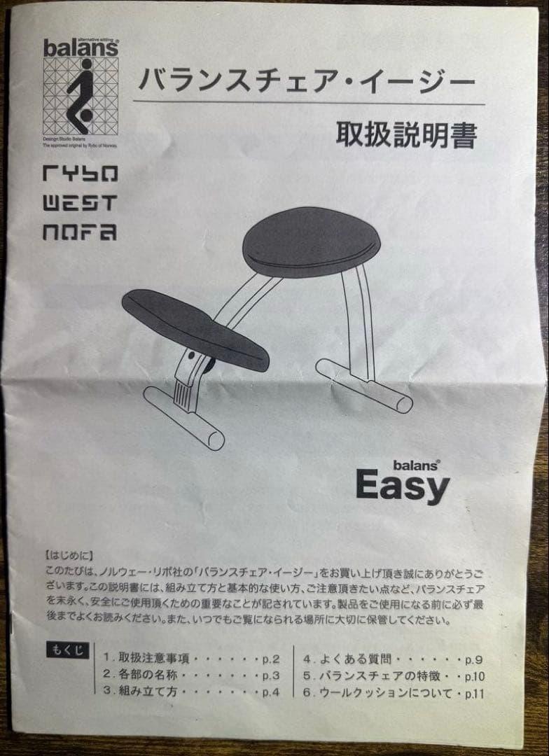 Rybo社 リボ社　［専用カバー付]　バランスチェア イージー