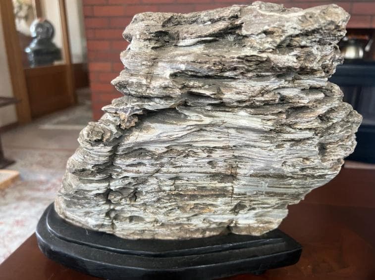 石収集家 人生コレクション 珪化木 天然石 鑑賞石 自然石 置物 台座付 お宝