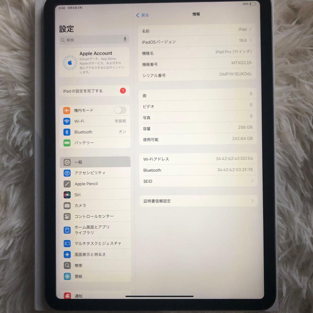 【ラスト1台】iPad Pro 11 256GB 【すぐ発送】
