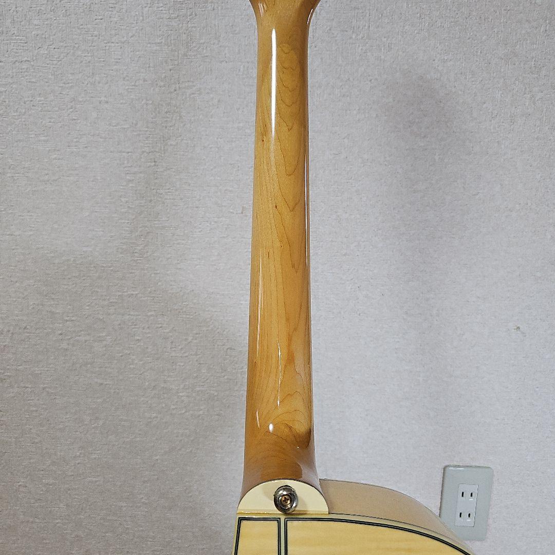 Epiphone.PERFORMER.SE Shadow.nanoMGAエレアコ