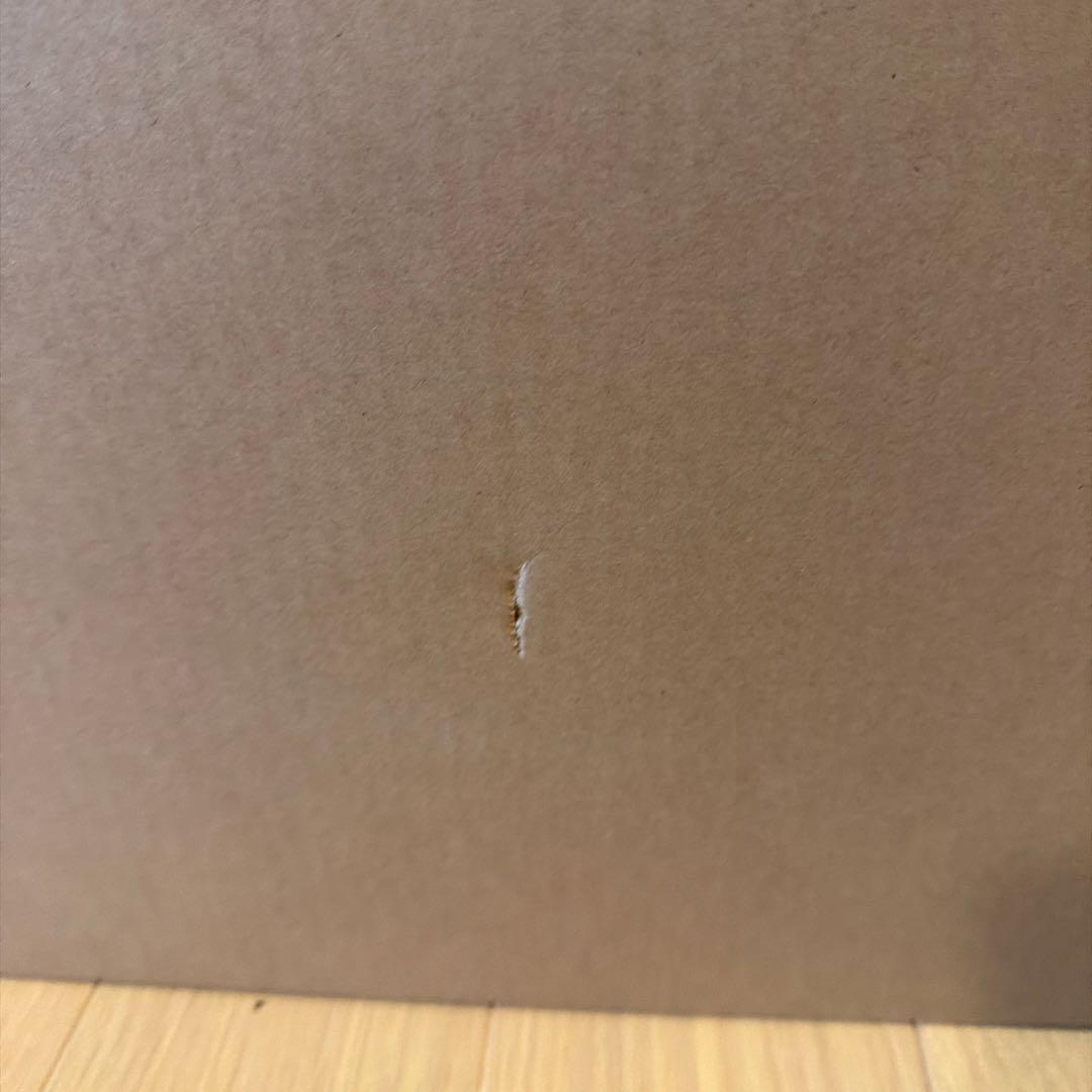 【新品未開封】BALMUDA The Brew