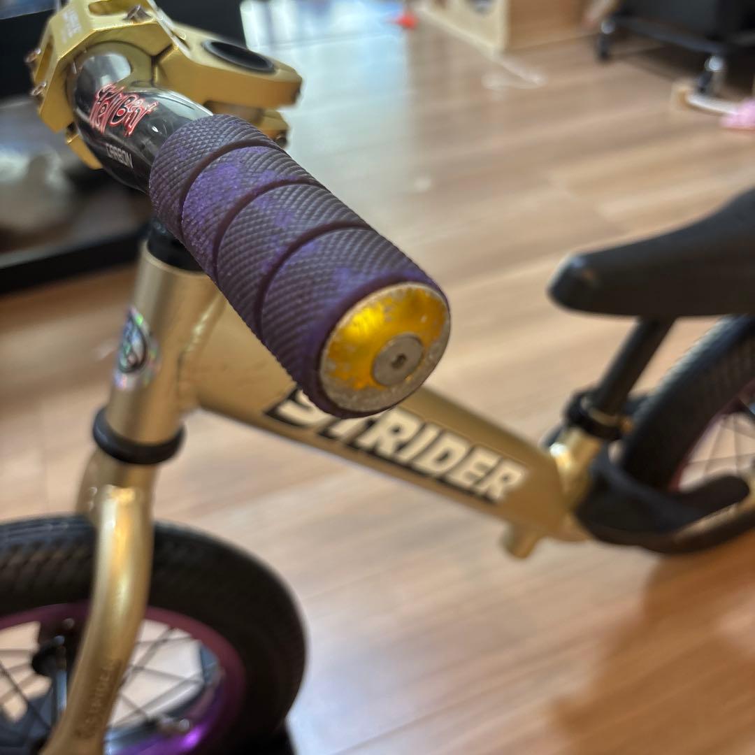 10周記念限定ストライダープロ ゴールド