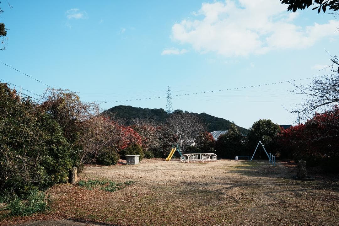 【テスト済安心】SONY SEL2470GM 大三元ズーム F2.8 131