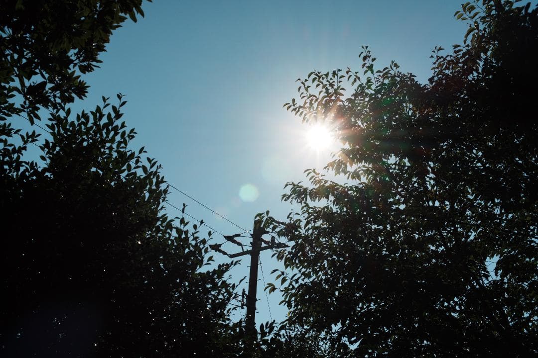 【整備＆テスト済】Nikon Ai Nikkor 50mm F1.4 247