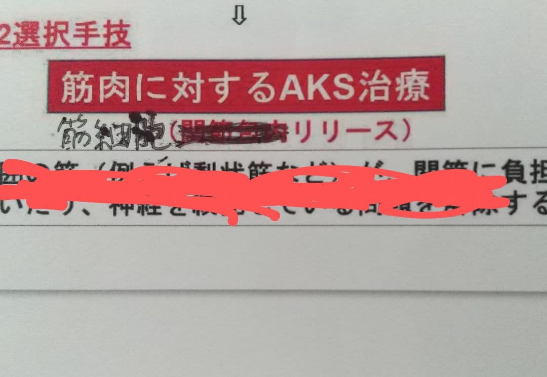 山内義弘 AKS療法 本編DVD４枚 特典DVD２枚 テキスト付