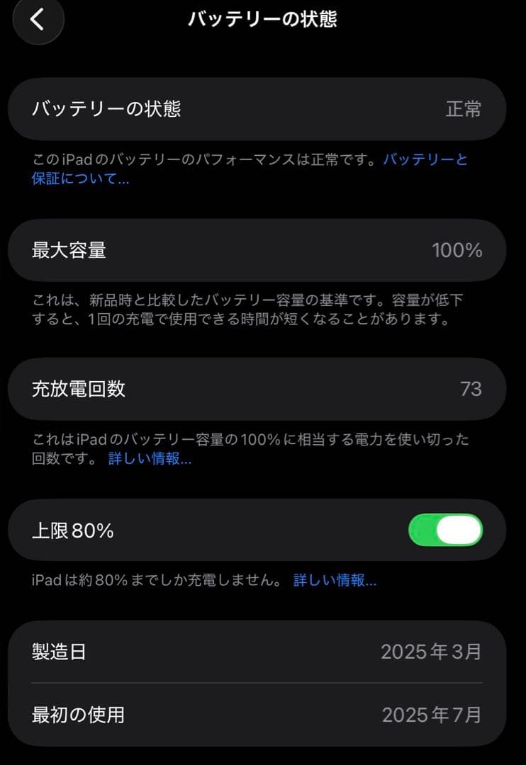 G*a様 【美品】A17 Pro iPad mini 第7世代 256GB Wi