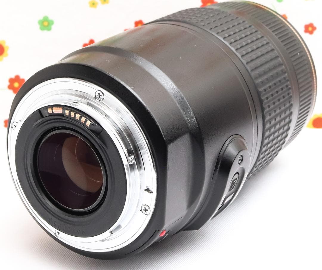 Canon EF 75-300mm IS USM☆超望遠レンズ☆大人気望遠レンズ