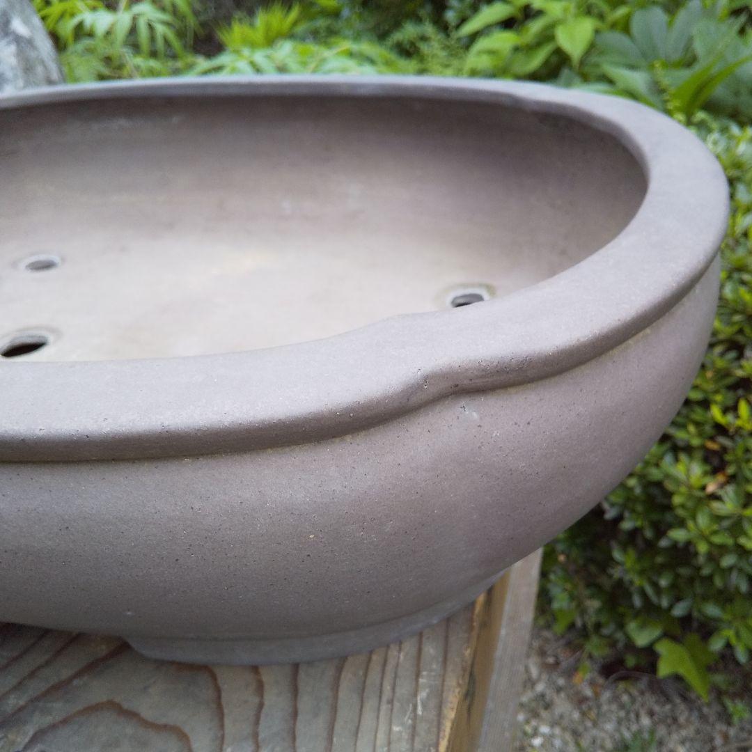 常滑焼 盆栽鉢 松柏類 大品『松下陶園』泥鉢 泥物 外縁 小判 隅入 袋形 切足