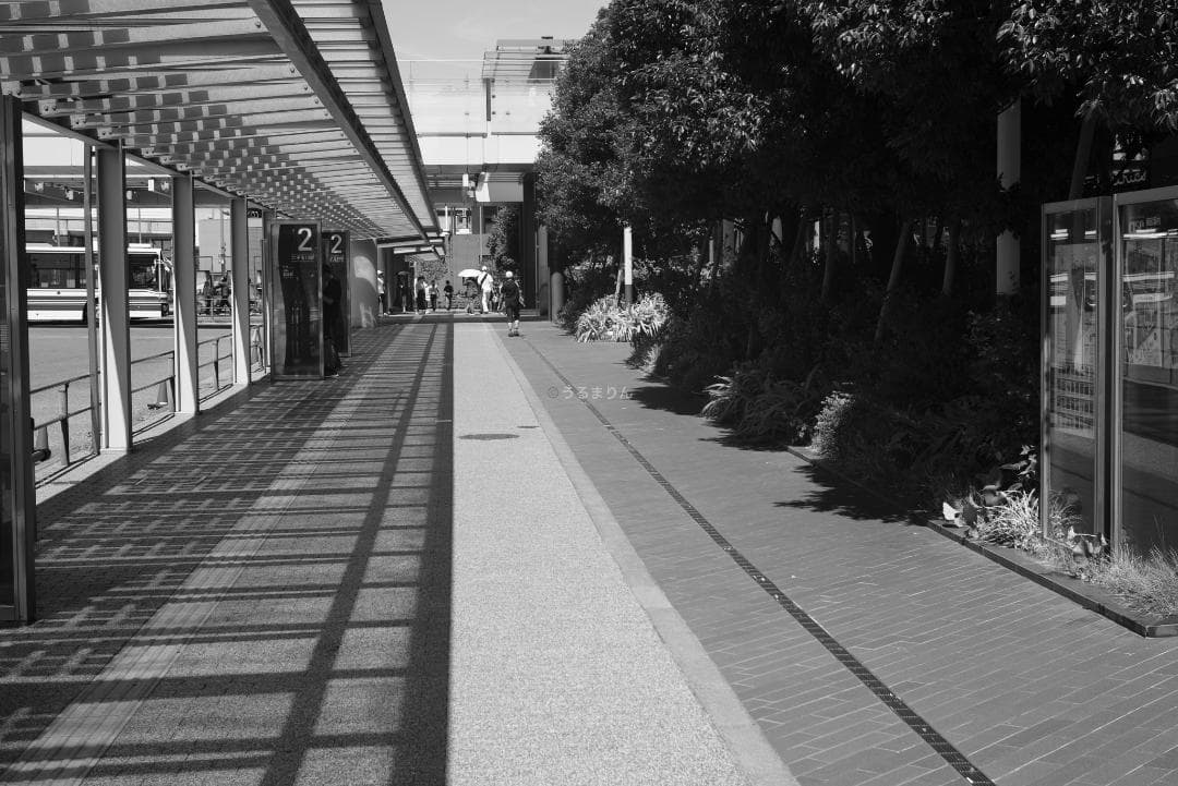 良品！虹の出る癖玉！Leica Summar 50mm f2 オールドレンズ