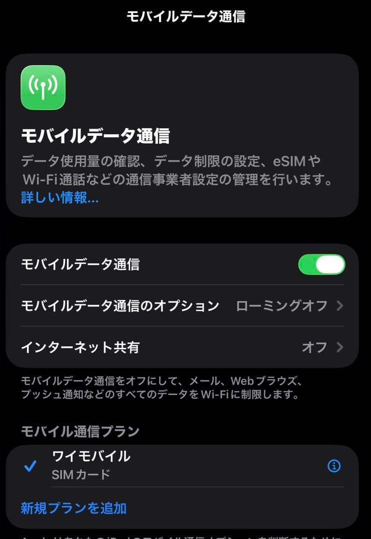 【極美品】iPad Pro 11 第4世代 128GB セルラー SIMフリー